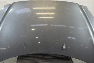 Capot PEUGEOT 308 1 Photo n°1