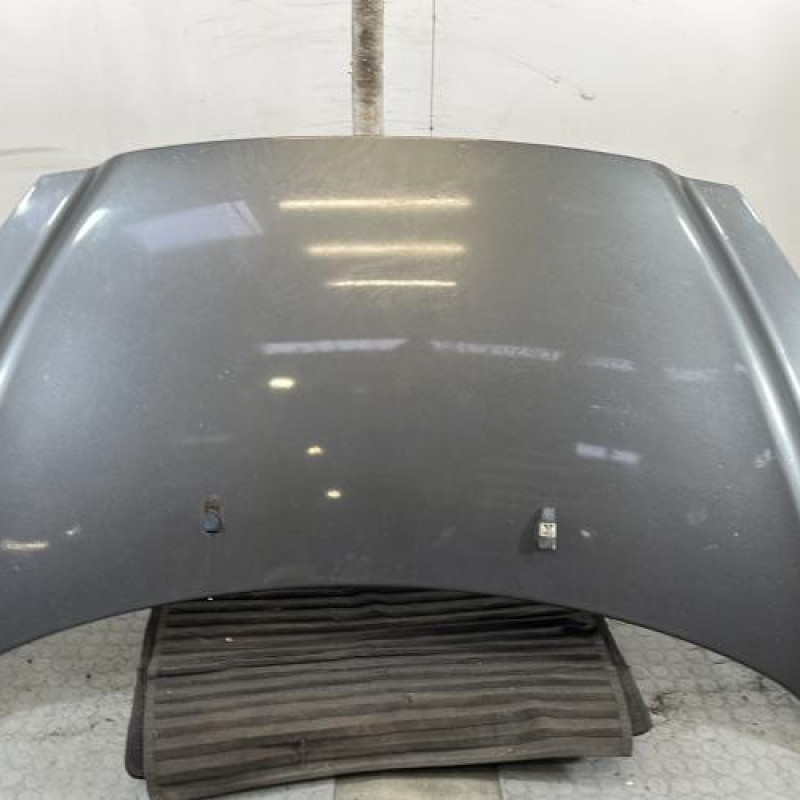 Capot PEUGEOT 308 1 Photo n°1