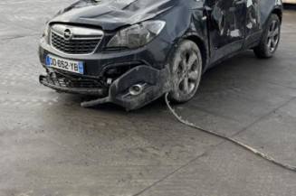Custode avant gauche (porte) OPEL MOKKA 1