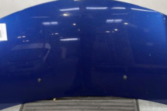 Capot RENAULT CLIO 3 Photo n°1