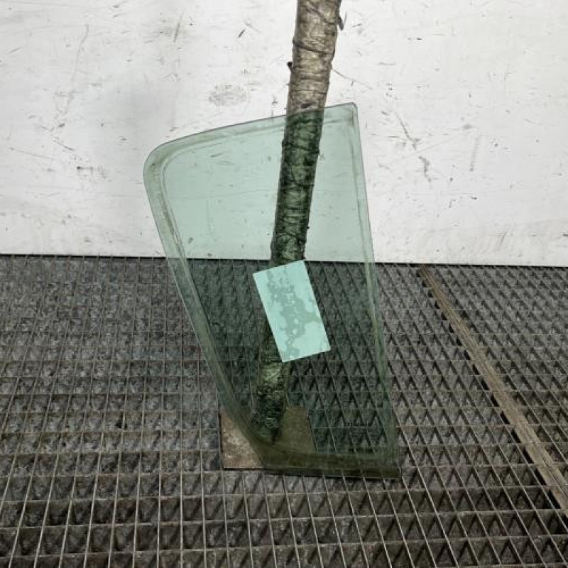 Custode arriere gauche (porte) RENAULT CLIO 3 Photo n°4