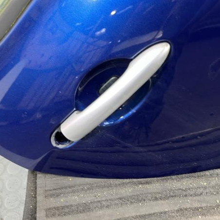 Porte arriere droit RENAULT CLIO 3