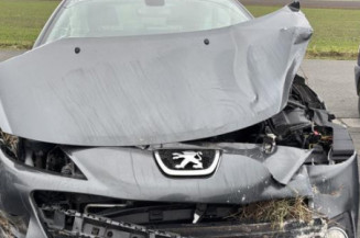 Catalyseur (echappement) PEUGEOT 207