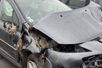 Catalyseur (echappement) PEUGEOT 207