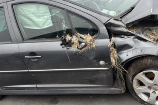 Catalyseur (echappement) PEUGEOT 207