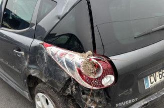 Catalyseur (echappement) PEUGEOT 207