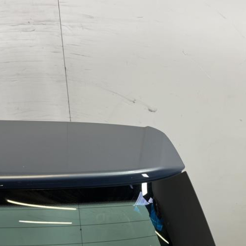 Malle/Hayon arriere VOLKSWAGEN PASSAT 6 Photo n°3