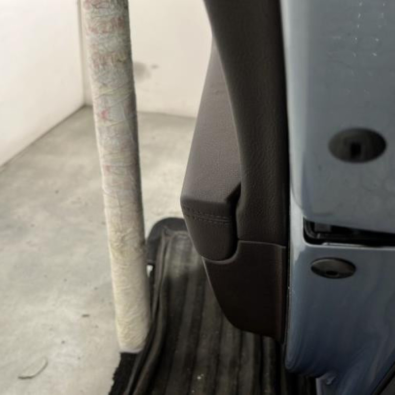 Porte arriere droit VOLKSWAGEN PASSAT 6 Photo n°4