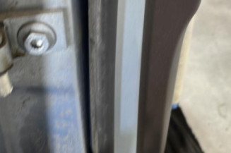 Porte arriere droit VOLKSWAGEN PASSAT 6