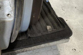 Porte arriere droit VOLKSWAGEN PASSAT 6