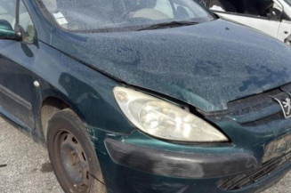 Aile avant droit PEUGEOT 307