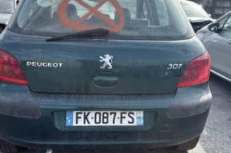 Aile avant droit PEUGEOT 307