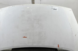 Capot CITROEN BERLINGO 2 Photo n°1