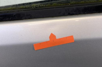 Porte arriere gauche PEUGEOT 106