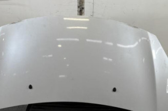 Capot DS DS3 Photo n°1