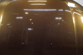 Capot DACIA DUSTER 1 Photo n°1