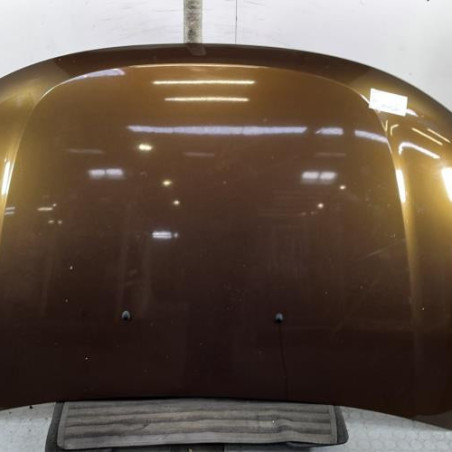 Capot DACIA DUSTER 1 Photo n°1