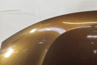 Capot DACIA DUSTER 1