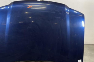 Capot VOLKSWAGEN POLO 3 Photo n°1