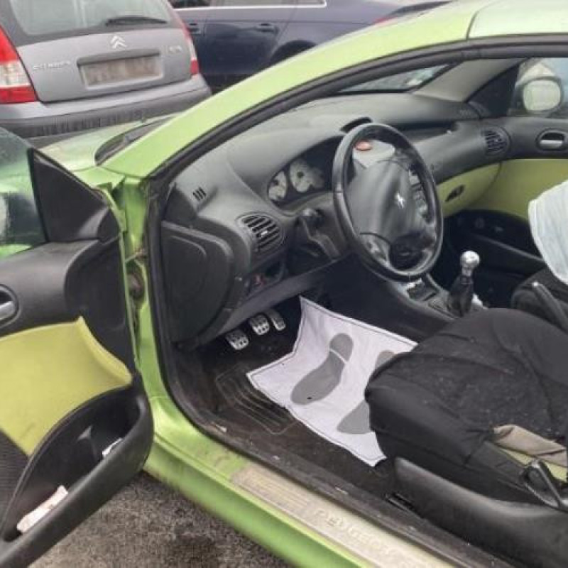 Custode arriere gauche PEUGEOT 206 Photo n°9