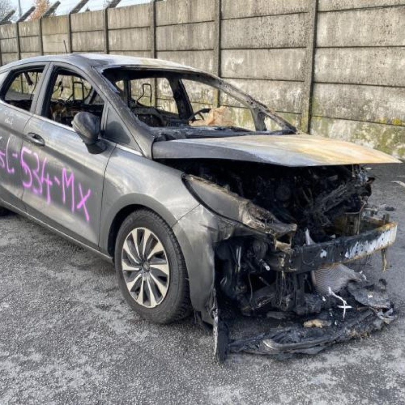 Custode avant droit FORD FIESTA 7 Photo n°6