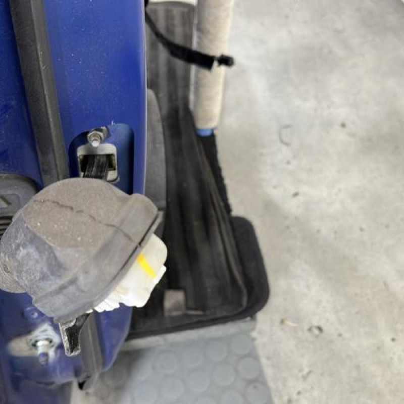 Porte arriere droit RENAULT CLIO 5 Photo n°3