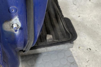 Porte arriere droit RENAULT CLIO 5