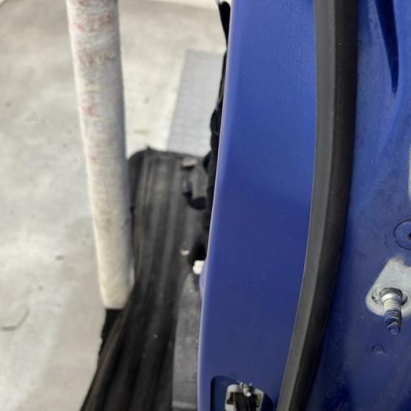 Porte arriere gauche RENAULT CLIO 5 Photo n°2