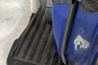 Porte arriere gauche RENAULT CLIO 5