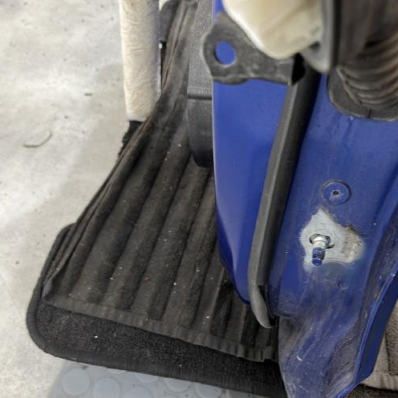 Porte arriere gauche RENAULT CLIO 5 Photo n°4