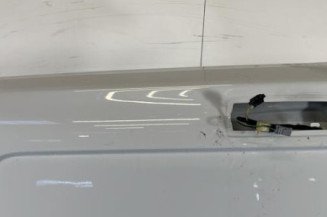 Porte de coffre gauche NISSAN PRIMASTAR 2