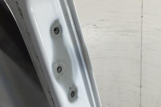 Porte de coffre gauche NISSAN PRIMASTAR 2