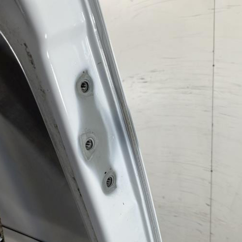 Porte de coffre gauche NISSAN PRIMASTAR 2 Photo n°4