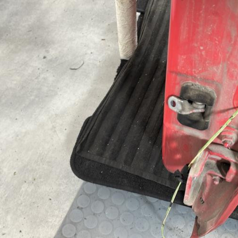 Porte arriere gauche DACIA SANDERO 1 Photo n°5