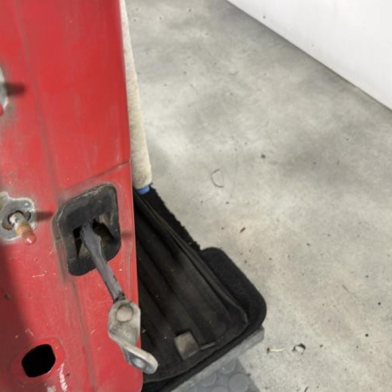 Porte avant droit DACIA SANDERO 1 Photo n°3