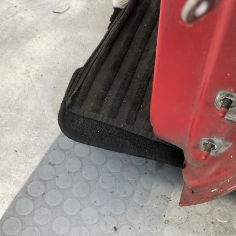 Porte avant gauche DACIA SANDERO 1 Photo n°3