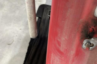 Porte arriere gauche DACIA SANDERO 1