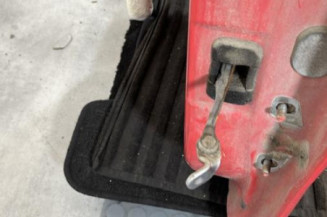 Porte arriere gauche DACIA SANDERO 1