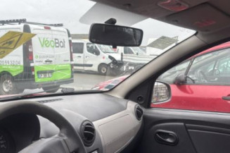 Porte arriere gauche DACIA SANDERO 1