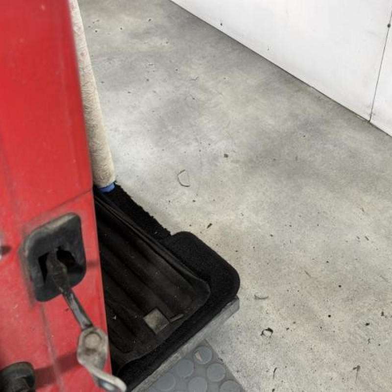 Porte avant droit DACIA SANDERO 1 Photo n°3