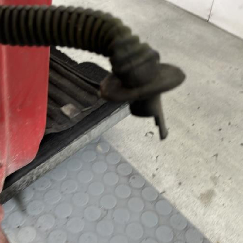 Porte avant droit DACIA SANDERO 1 Photo n°4