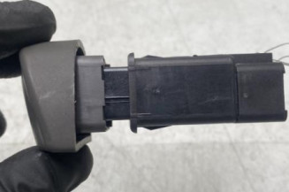 Bouton de warning RENAULT SCENIC 1