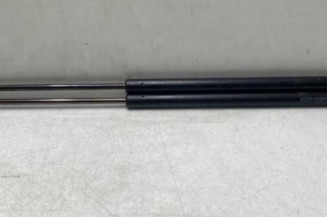 Verin de coffre RENAULT SCENIC 1 Photo n°1