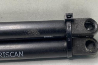 Verin de coffre RENAULT SCENIC 1