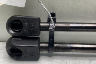 Verin de coffre RENAULT SCENIC 1