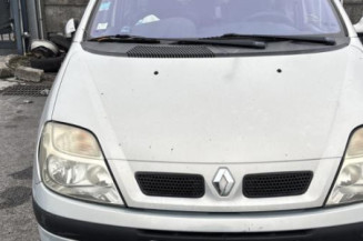 Verin de coffre RENAULT SCENIC 1