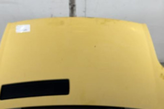 Capot RENAULT TRAFIC 2 Photo n°1