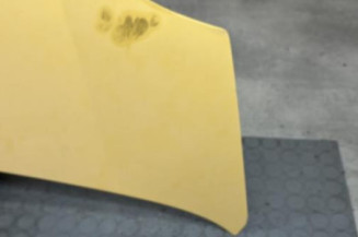 Capot RENAULT TRAFIC 2