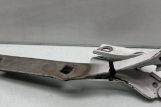 Charniere de capot CITROEN BERLINGO 2 Photo n°1