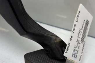 Vase de lave glace PEUGEOT 308 2
